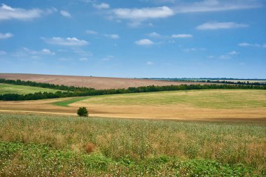 güzel yaz manzara, yeşil alan ve parlak bulutlu gökyüzü