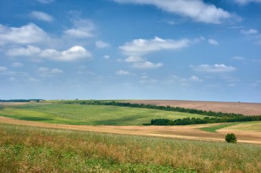 güzel yaz manzara, yeşil alan ve parlak bulutlu gökyüzü