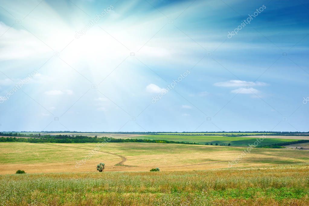 beautiful spring landscape, green field and bright cloudy sky