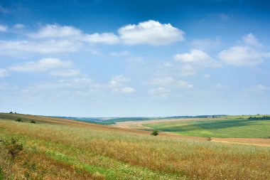 güzel bahar manzara, yeşil alan ve parlak bulutlu gökyüzü
