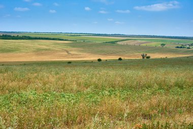 güzel yaz manzara, yeşil alan ve parlak bulutlu gökyüzü