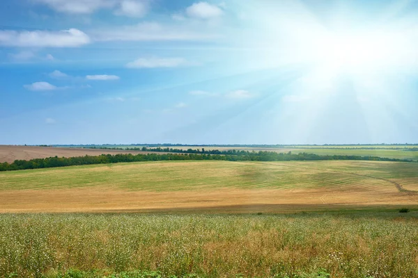 Vackra sommarlandskap, gröna fält och ljusa molnig himmel — Stockfoto