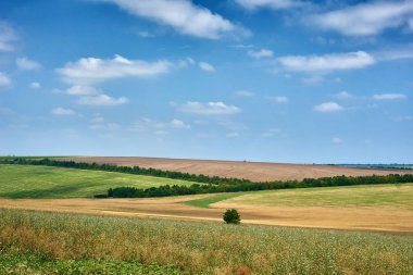 güzel yaz manzara, yeşil alan ve parlak bulutlu gökyüzü