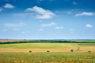 güzel bahar manzara, yeşil alan ve parlak bulutlu gökyüzü
