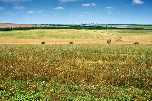 güzel bahar manzara, yeşil alan ve parlak bulutlu gökyüzü