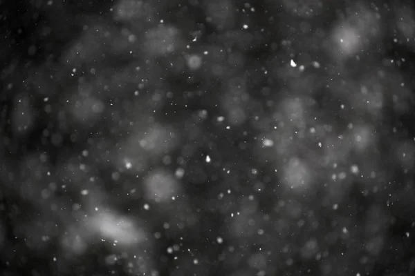 Photo of natural snow falling on a dark background, good to use as a template for composing images in overlay or screen layer mode, winter theme — Stock Photo, Image