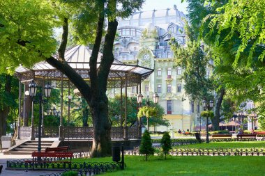 Yaz Şehir Parkı, parlak güneşli, yeşil ağaçlar ve gölgeler