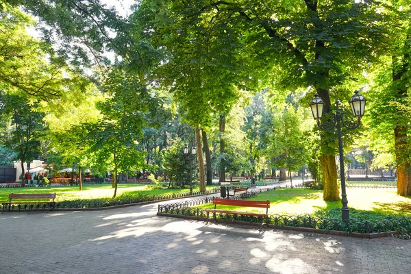 Mañana en el parque de la ciudad de verano, luz solar brillante, árboles verdes y sombras — Foto de Stock