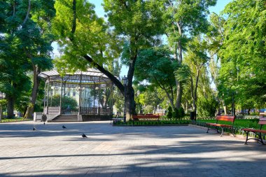 Şehir Parkı yaz, parlak güneşli, yeşil ağaçlar ve gölgeler