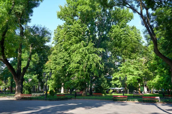 Park miejski w lato, jasne słoneczne, zielone drzewa i cienie — Zdjęcie stockowe