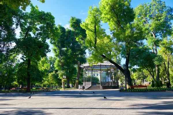 Parque da cidade no verão, luz solar brilhante, árvores verdes e sombras — Fotografia de Stock