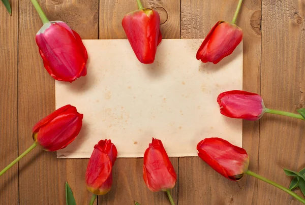 Tulipes comme cadre pour vieille feuille de papier vierge avec place pour le texte, planches en bois sur fond - concept de vacances et de salutation — Photo