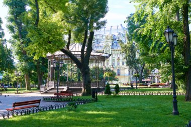 Yaz Şehir Parkı, parlak güneşli, yeşil ağaçlar ve gölgeler