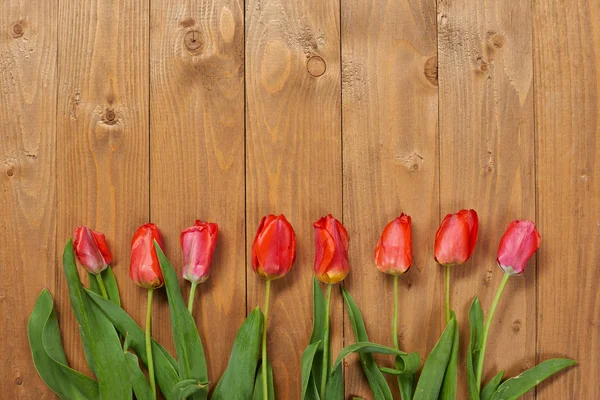 Tulipány jsou na dřevěných deskách, uspořádány za sebou, místo pro text, pozdrav koncept v retro stylu — Stock fotografie