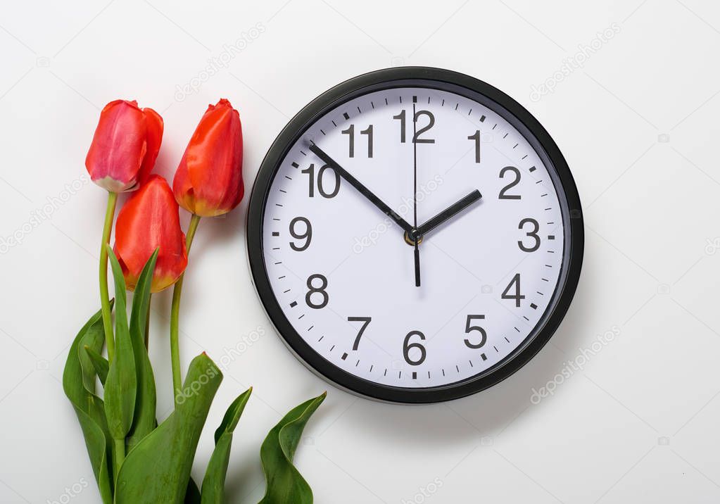 three natural tulips flowers and clock on white background - time, love and holiday concept
