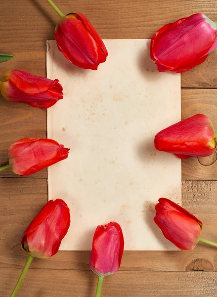 Tulipes comme cadre pour vieille feuille de papier vierge avec place pour le texte, planches en bois sur fond - concept de vacances et de salutation — Photo