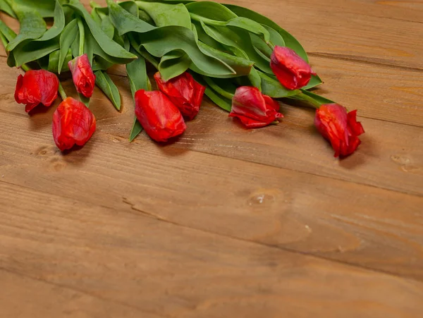 Tulipani sono su tavole di legno, un luogo per il testo, concetto di saluto in stile retrò — Foto Stock