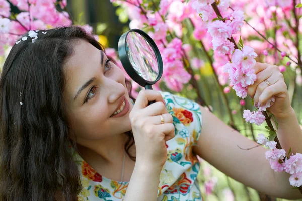 La niña mira a través de la lupa a las flores de color rosa, el estudio de las plantas - formación y el concepto de botánica — Foto de Stock