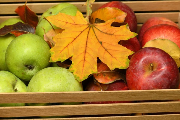 Las frutas y hortalizas con las manzanas, las ciruelas - la cosecha otoñal y el concepto de la alimentación sana. Hojas amarillas. Bodegón sobre fondo de madera . — Foto de Stock