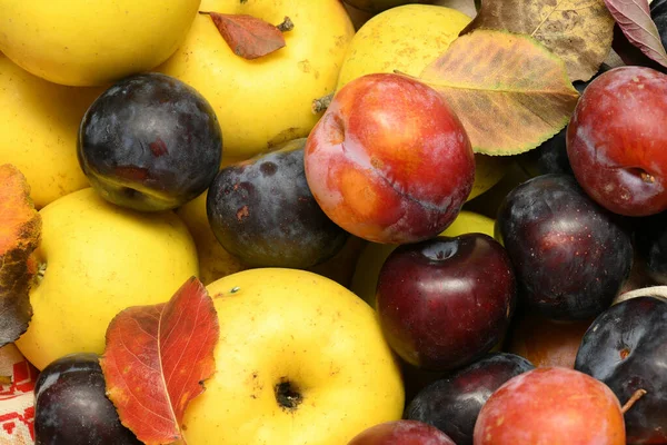 Las frutas y hortalizas con las manzanas, las ciruelas - la cosecha otoñal y el concepto de la alimentación sana. Hojas amarillas. Bodegón sobre fondo de madera . — Foto de Stock