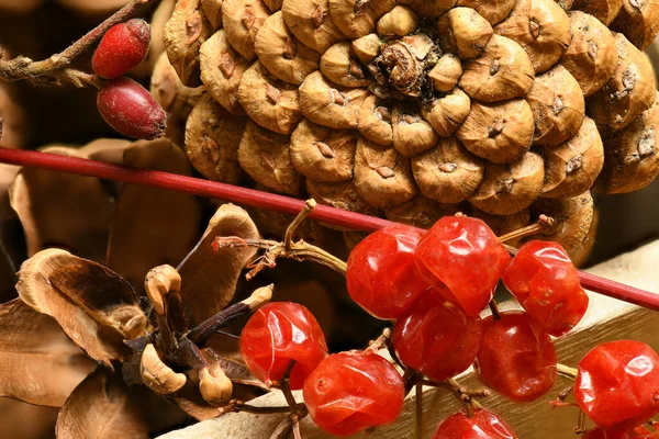 Фрукти та овочі з волоськими горіхами, ягодами, шишками осінній урожай та концепція здорової їжі. Жовте листя. Натюрморт на дерев'яному фоні . — стокове фото