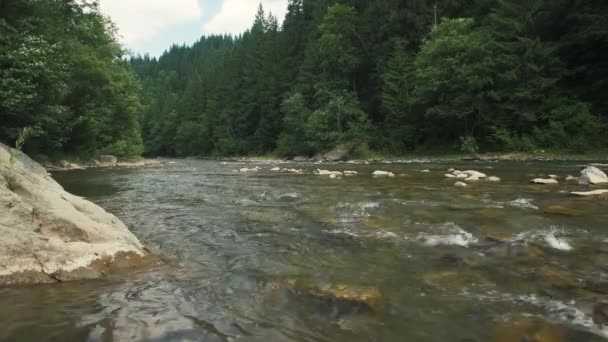 Yaz Günündeki Dağ Nehrinin Güzel Manzarası Kara Çerçeve Ukrayna Hızlı — Stok video
