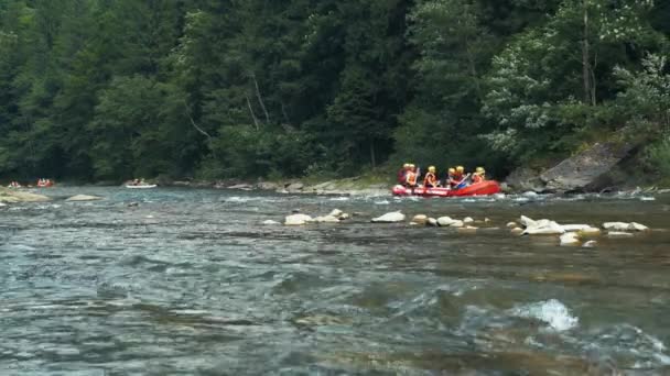 Black Cheremosh River Nära Verkhovina Byn Ukraina Juli 2019 Grupp — Stockvideo