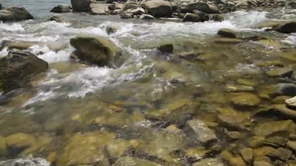 夏の日 黒チェレモシュ ウクライナの美しい山の川のクローズアップビュー 流れの速い水と岩 — ストック動画