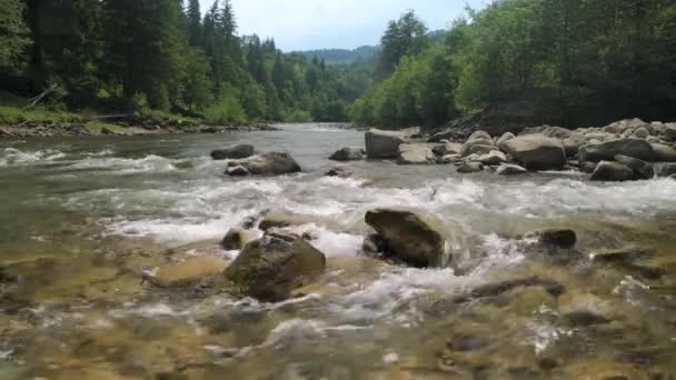 Vacker Utsikt Över Bergsfloden Sommardagen Black Cheremosh Ukraina Snabbflytande Vatten — Stockvideo