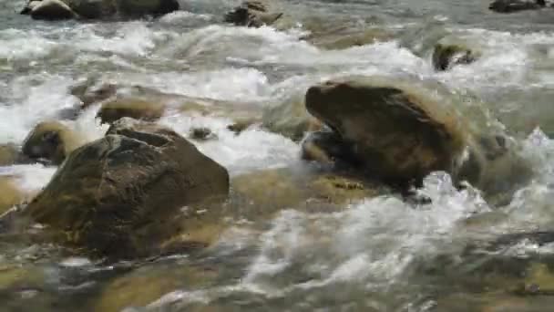 Närbild Utsikt Över Vackra Bergsfloden Sommardagen Black Cheremosh Ukraina Snabbflytande — Stockvideo