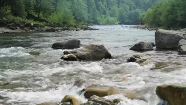 夏日的山川美景 乌克兰人 乌克兰人 快速流动的水和岩石 — 图库视频影像