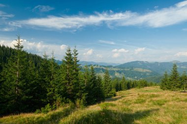 Karpatlar 'daki parlak yaz gününün manzarası, Karpatlar' ın manzarası, mavi gökyüzü, ağaçlar ve yeşil tepeler, güzel manzara.