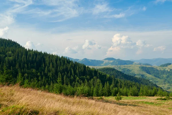 Fényes nyári táj a Kárpátok hegységében, panoráma a Kárpátokra, kék ég, fák és zöld dombok, gyönyörű kilátás — Stock Fotó