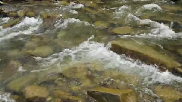 Vue rapprochée de la belle rivière de montagne dans la journée d'été, Black Cheremosh, Ukraine. Eau et roches qui coulent rapidement 