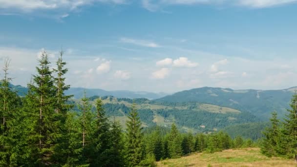 Timelapse Ljusa Sommardag Karpaterna Panorama Över Karpaterna Blå Himmel Träd — Stockvideo