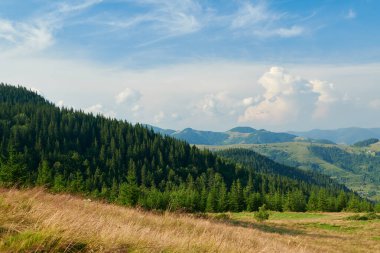 Karpatlar 'daki parlak yaz gününün manzarası, Karpatlar' ın manzarası, mavi gökyüzü, ağaçlar ve yeşil tepeler, güzel manzara.