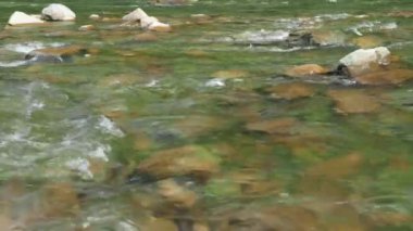 Yaz günündeki güzel dağ nehrinin yakın görüntüsü, Black Cheremosh, Ukrayna. Hızlı akan su ve kayalar.