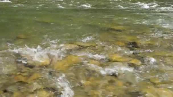 Vista Vicino Del Bellissimo Fiume Montagna Nella Giornata Estiva Black — Video Stock