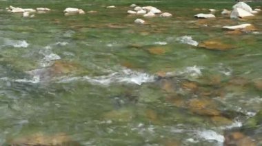 Yaz günündeki güzel dağ nehrinin yakın görüntüsü, Black Cheremosh, Ukrayna. Hızlı akan su ve kayalar.