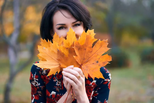 Mulher elegante bonita de pé e posando com buquê de folhas amarelas no parque da cidade de outono, close-up rosto — Fotografia de Stock