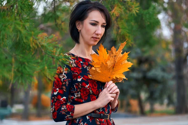 Mulher elegante bonita de pé e posando com buquê de folhas amarelas no parque da cidade de outono — Fotografia de Stock