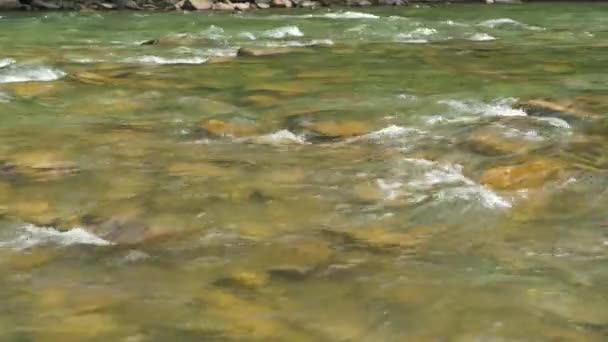 Närbild Utsikt Över Vackra Bergsfloden Sommardagen Black Cheremosh Ukraina Snabbflytande — Stockvideo