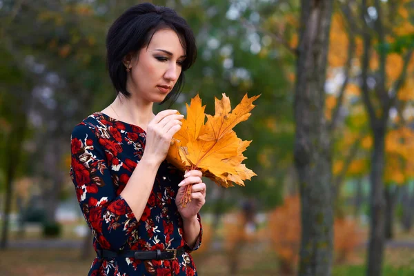 Bella donna elegante in piedi e in posa con bouquet di foglie gialle nel parco della città di autunno — Foto Stock