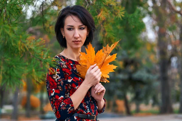 Schöne elegante Frau steht und posiert mit einem Strauß gelber Blätter im herbstlichen Stadtpark — Stockfoto