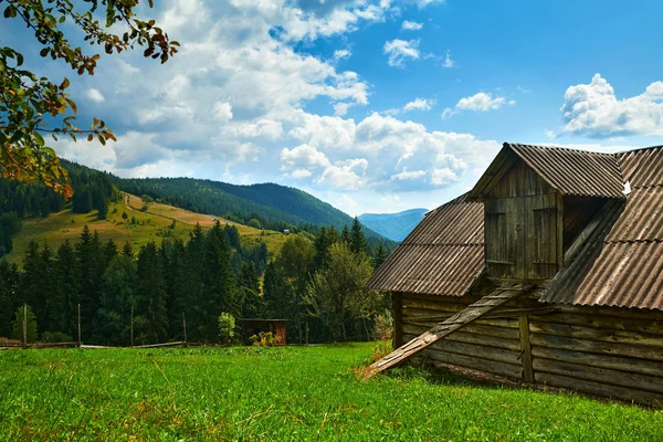 Beautiful summer landscape with rural house, spruces on hills, cloudy sky and wildflowers - travel destination scenic, carpathian mountains — Stock Photo, Image