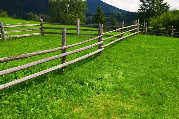 Wooden fence on a ranch closeup, beautiful summer landscape, spruces on hills, cloudy sky and wildflowers - travel destination scenic, carpathian mountains — Stock Photo, Image