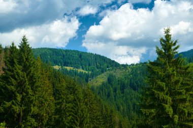 Güzel yaz manzarası, tepelerde süslenmeler, bulutlu gökyüzü ve kır çiçekleri - seyahat yeri manzarası, Karpatya dağları