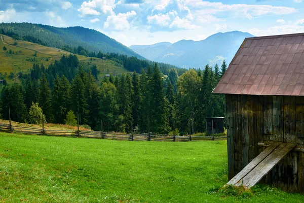 Krásná letní krajina s venkovským domem, smrky na kopcích, zamračená obloha a divoké květiny - turistická destinace malebné, karpatské hory — Stock fotografie