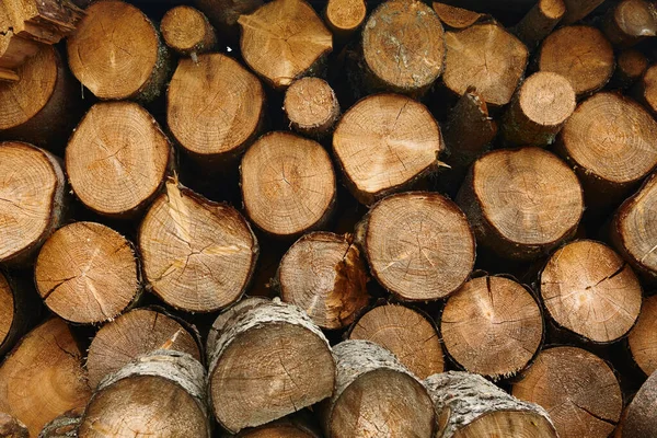 Şömine için odun yığını kesmek — Stok fotoğraf