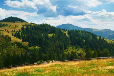 Güzel yaz manzarası, tepelerde yüksek güzellikler, mavi bulutlu gökyüzü ve kır çiçekleri - seyahat yeri manzarası, Karpatya dağları